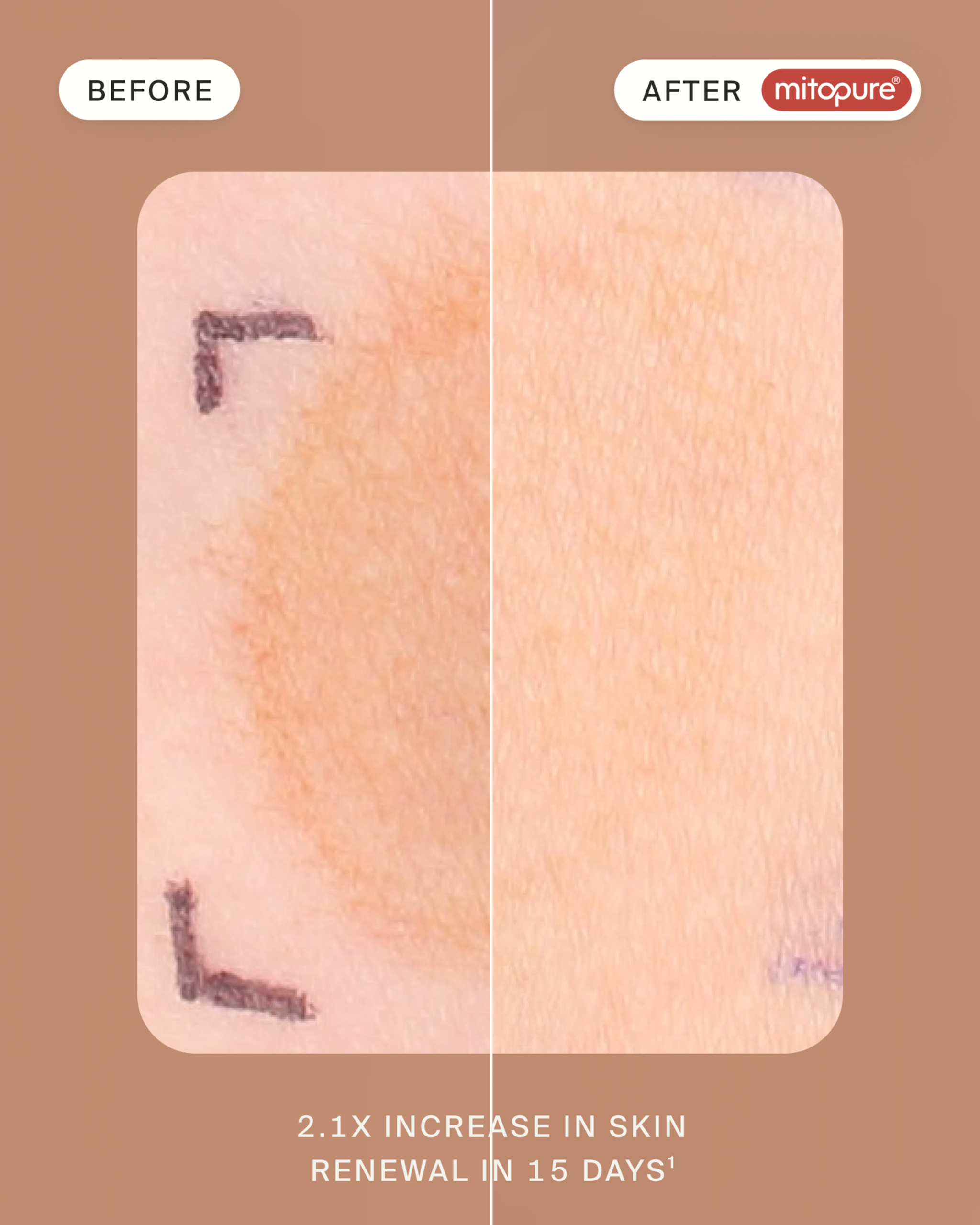 ab0afee2cdc78902a58d9b17bfa4035a30f76515-1600x2000-1.png